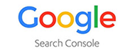 Google Search