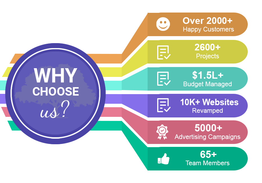 professional SEO Company in Delhi